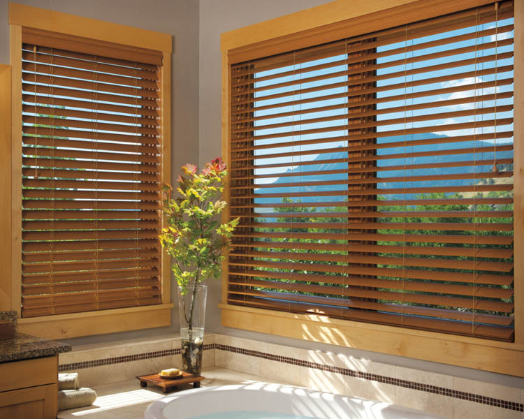 bathroom with wood blinds