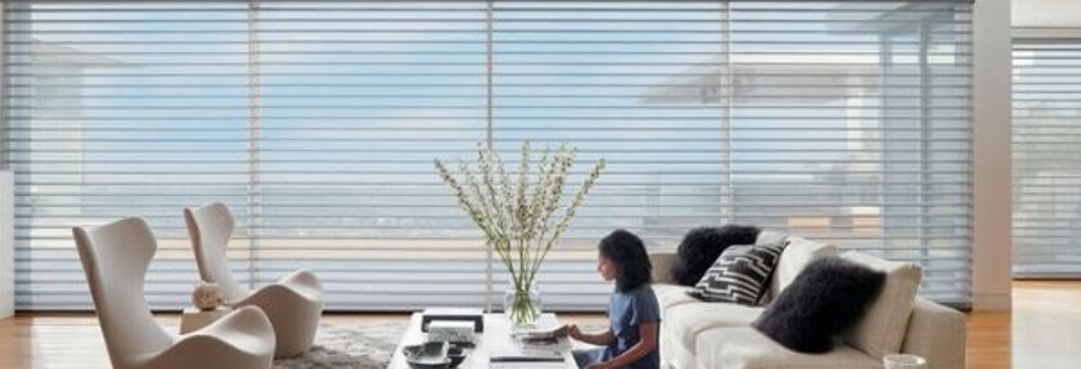 Blinds in living room