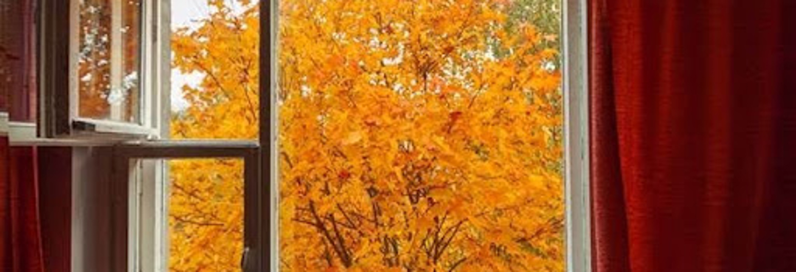 red drapery framing a window where we see a fall tree