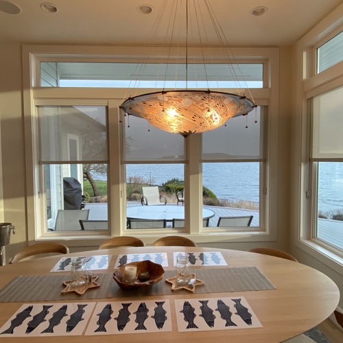 Interior Shades