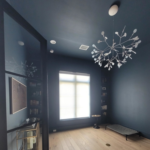 Interior Shades
