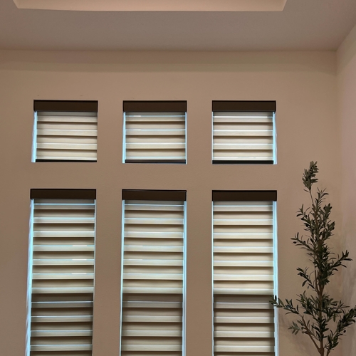 Interior Shades