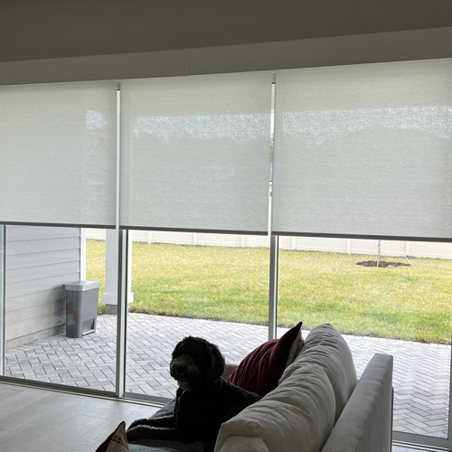 Motorization