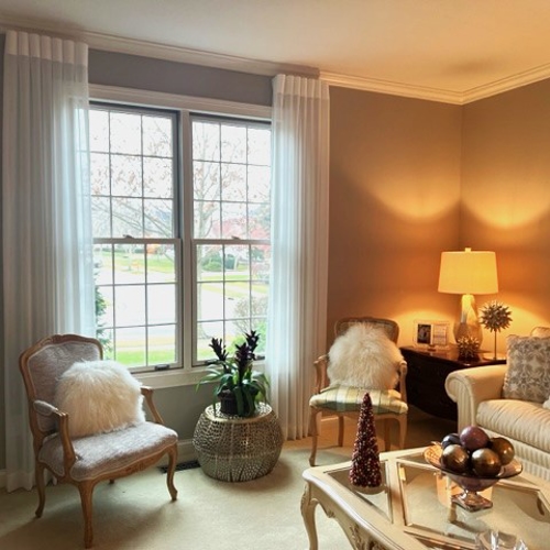 Interior Shades