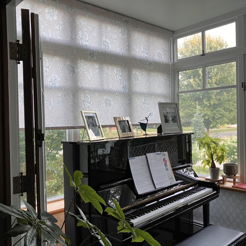 Blinds