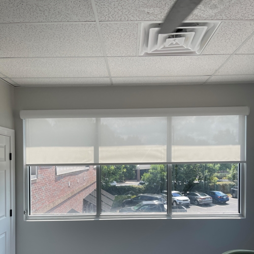 Interior Shades