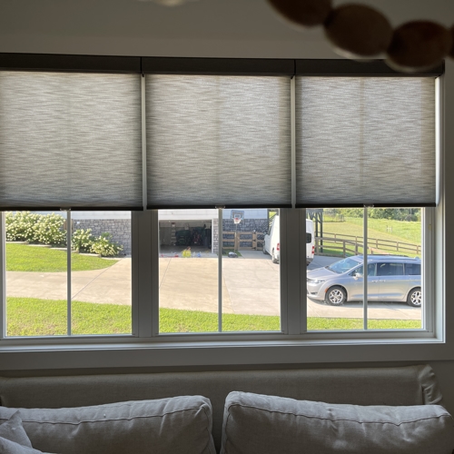 Interior Shades