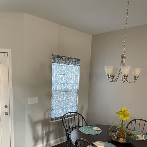 Interior Shades