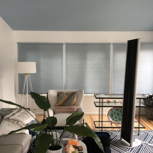 Interior Shades