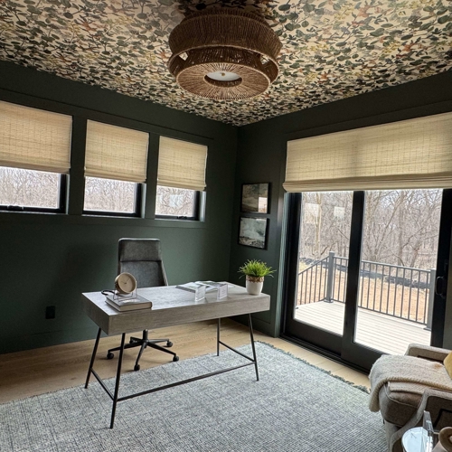 Interior Shades