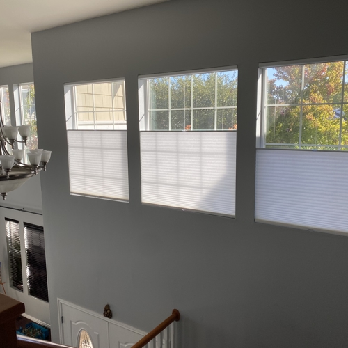 Interior Shades