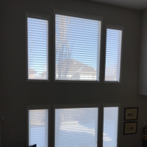 Interior Shades