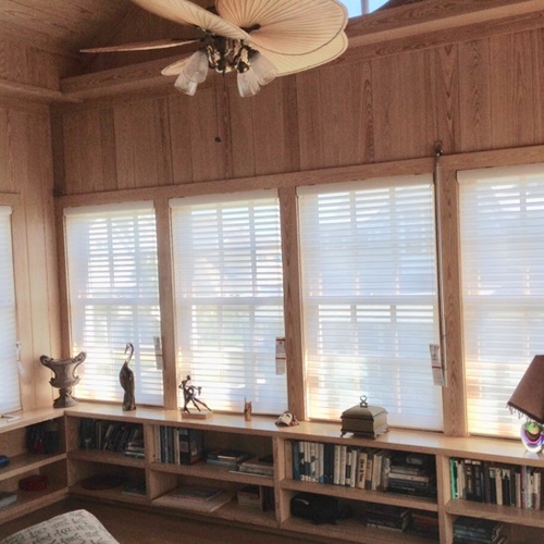 Interior Shades