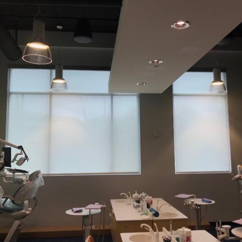 Interior Shades