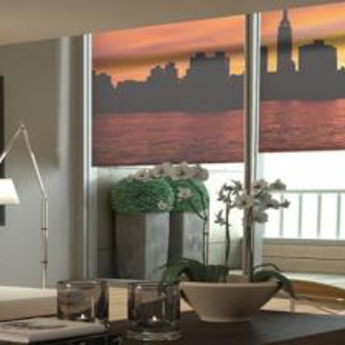 Interior Shades