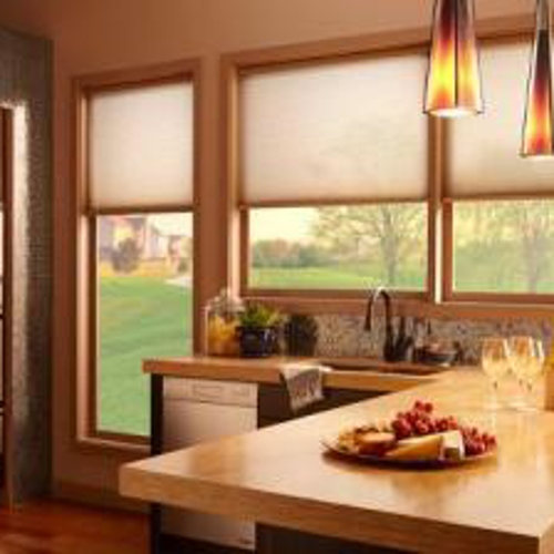 Interior Shades