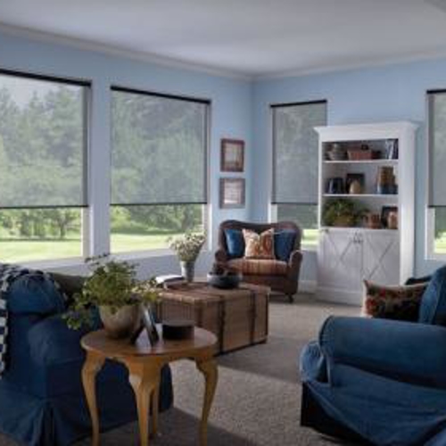 Interior Shades
