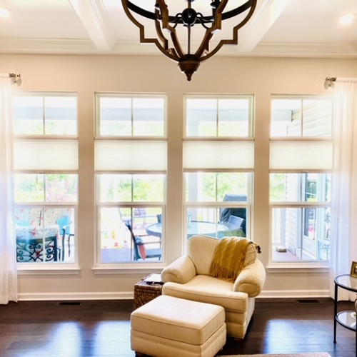 Interior Shades