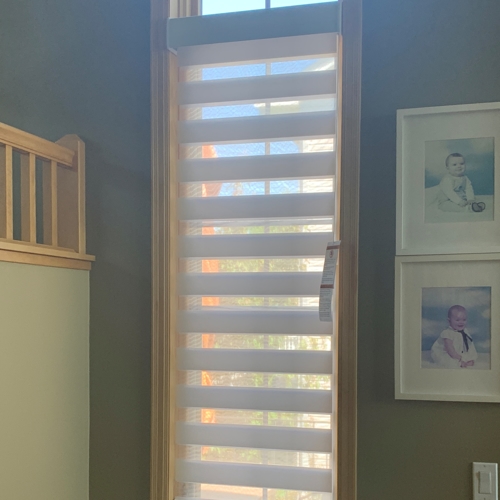 Interior Shades