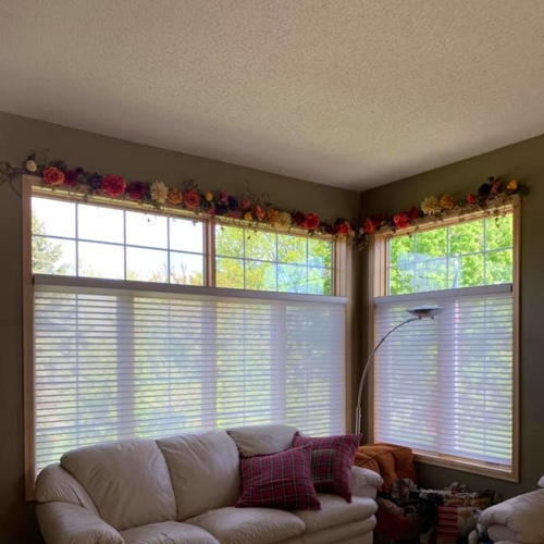 Interior Shades