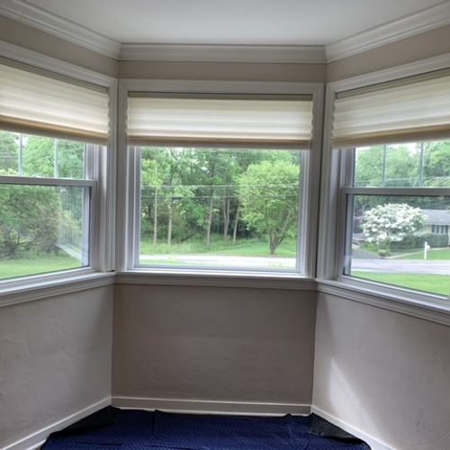 Interior Shades