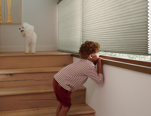 Window treatments can be instrumental in helping to soften harsh or glaring light for those with sensory sensitivities. 