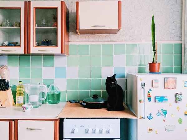 Magnets are a choking hazard for young children and pets and can be a hidden hazard around the home. Magnets are a choking hazard for young children and pets and can be a hidden hazard around the home.